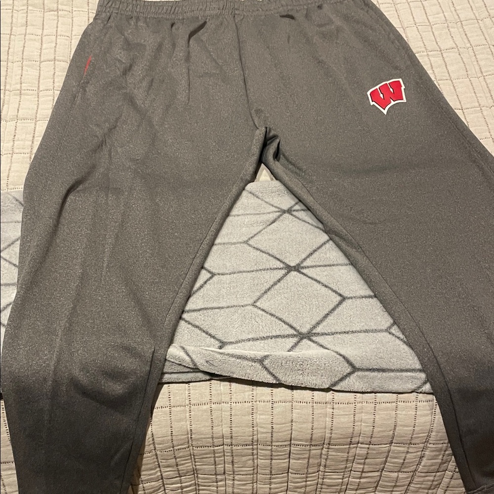 Wisconsin Badgers Gray Men's Joggers